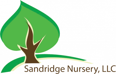 Sandridge Nursery